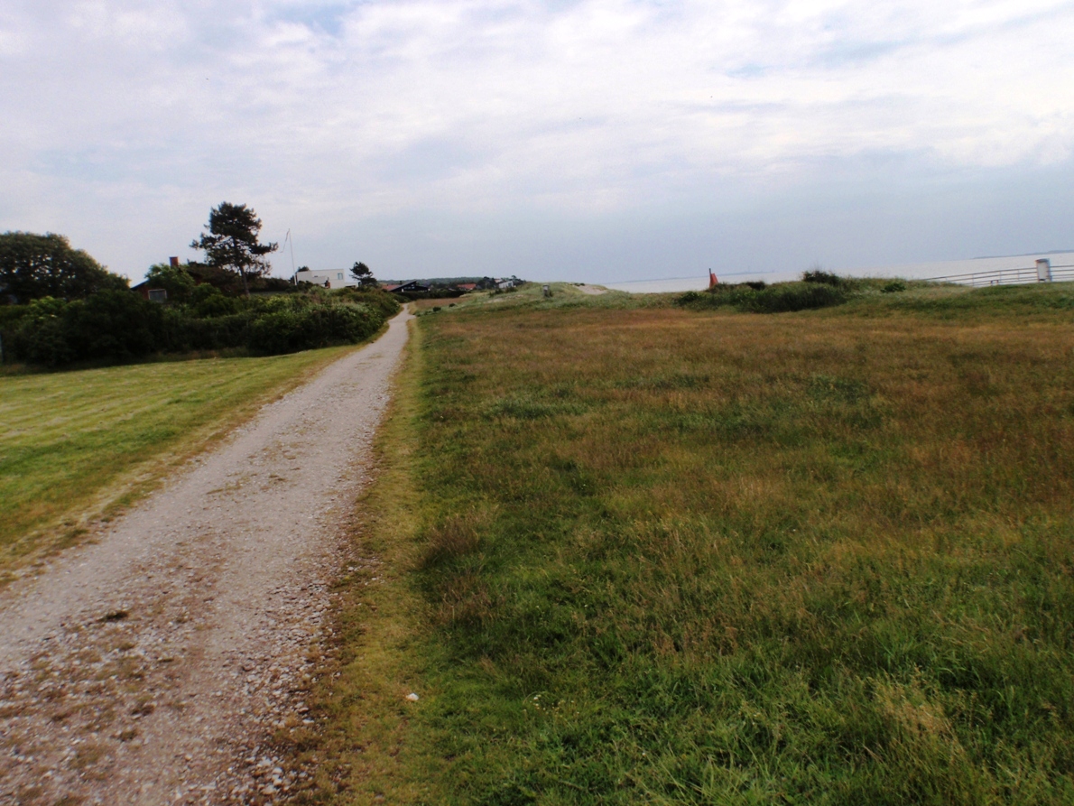 Natursmarathon Marathon Pictures - Tor Rnnow