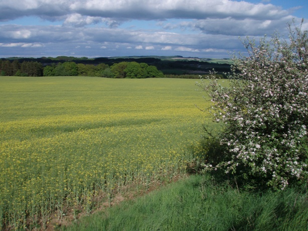 Natursti Marathon Pictures - Tor Rnnow