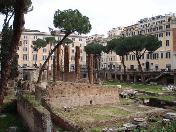 Rome Marathon Pictures - Tor Rnnow