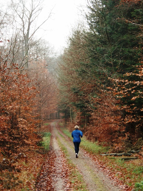 GARMIN Rudersdal Marathon Pictures - Tor Rnnow