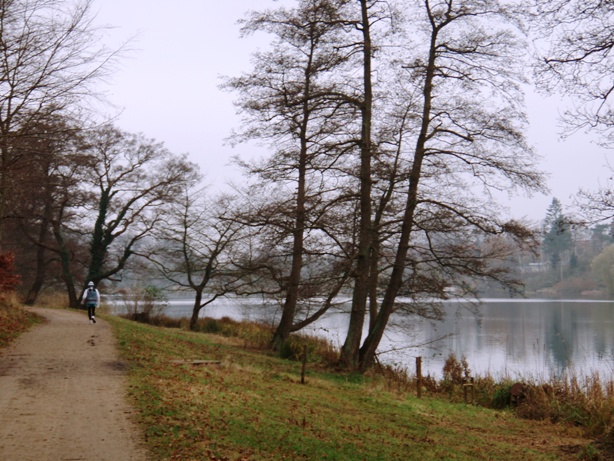 GARMIN Rudersdal Marathon Pictures - Tor Rnnow