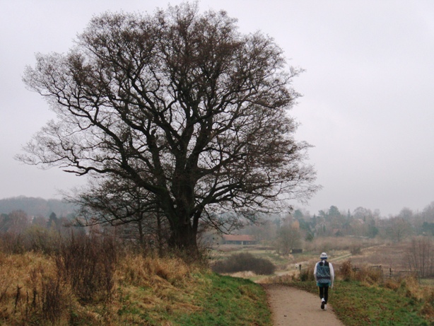 GARMIN Rudersdal Marathon Pictures - Tor Rnnow