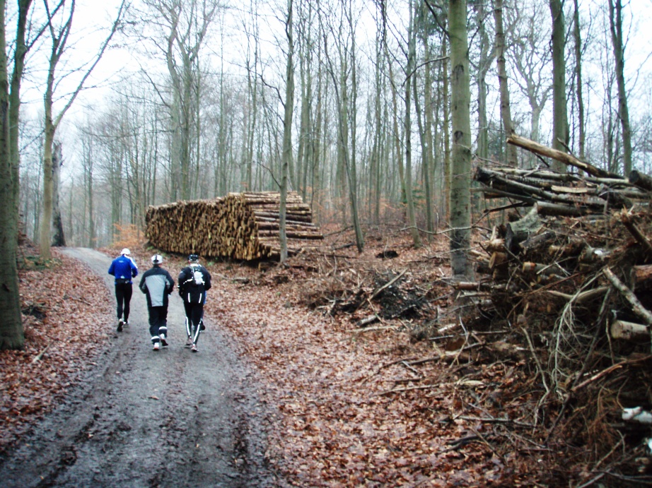 GARMIN Rudersdal Marathon Pictures - Tor Rnnow