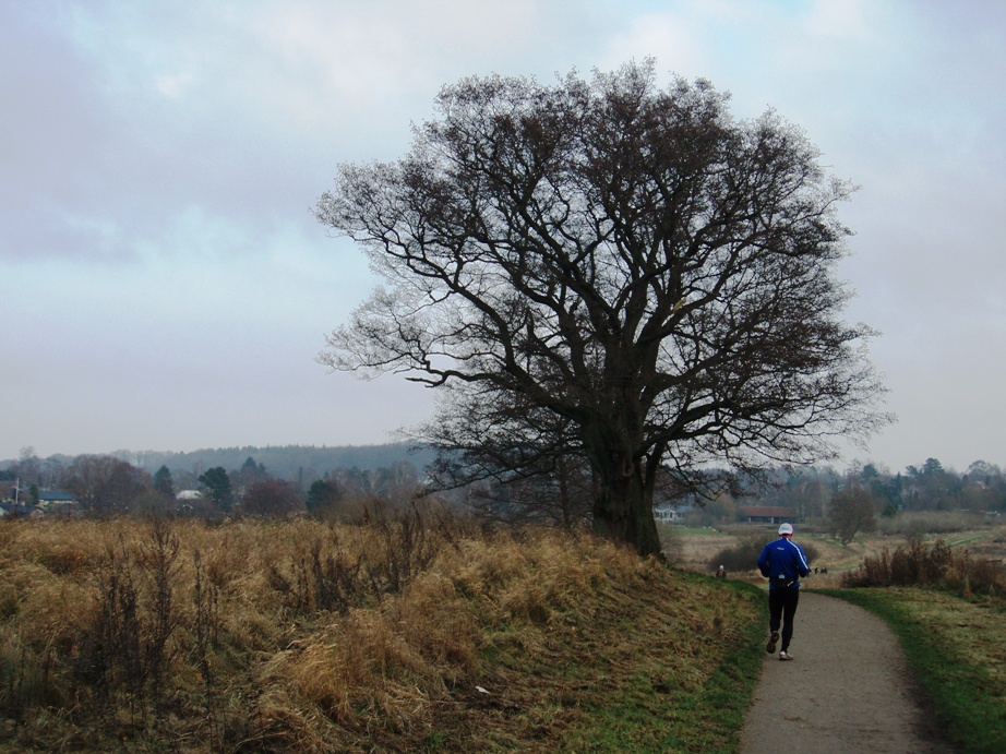 GARMIN Rudersdal Marathon Pictures - Tor Rnnow