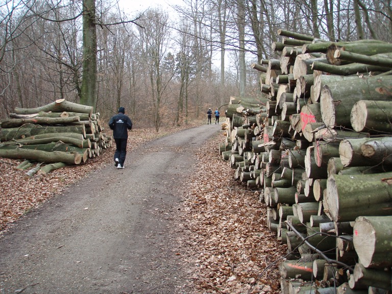 GARMIN Rudersdal Marathon Pictures - Tor Rnnow