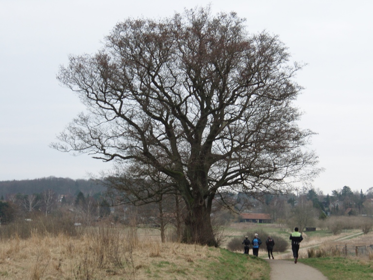 GARMIN Rudersdal Marathon Pictures - Tor Rnnow