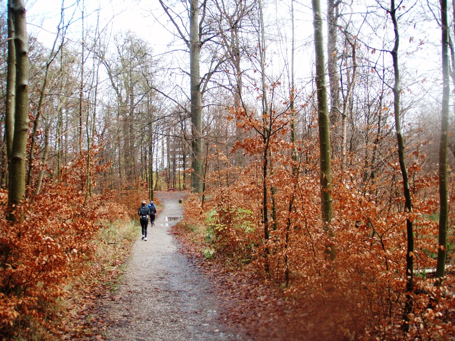 GARMIN Rudersdal Marathon Pictures - Tor Rnnow