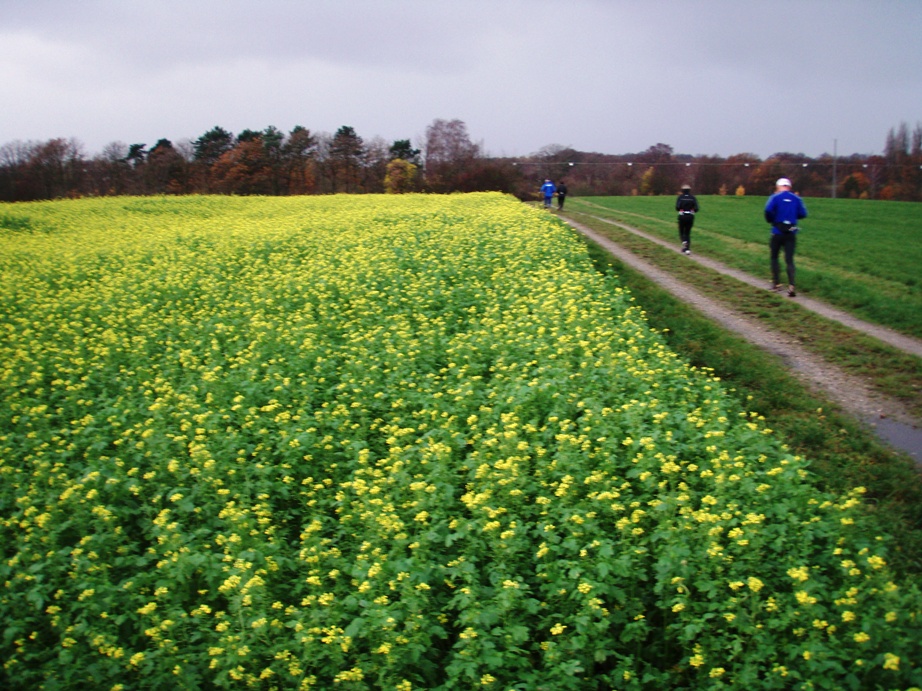 GARMIN Rudersdal Marathon Pictures - Tor Rnnow