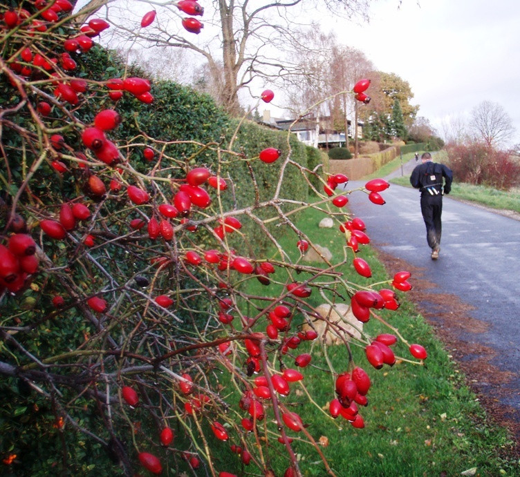 GARMIN Rudersdal Marathon Pictures - Tor Rnnow