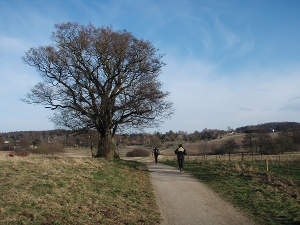 GARMIN Rudersdal Marathon Pictures - Tor Rnnow