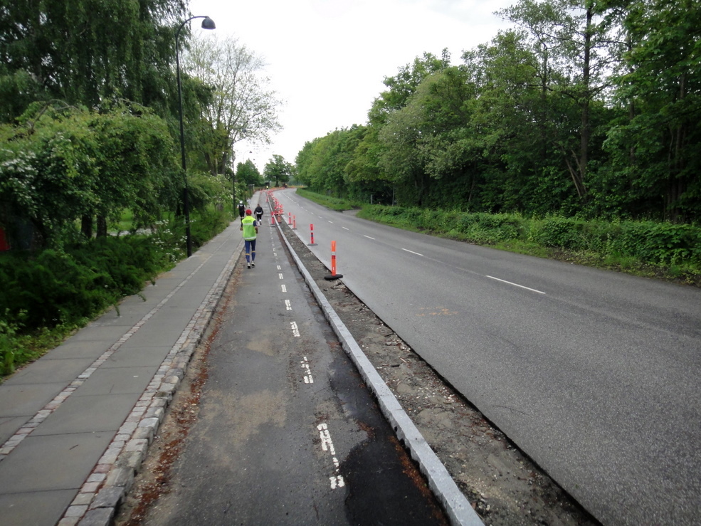 Skodsborg marathon VM-special 01-Jun-2010 Pictures - Tor Rnnow