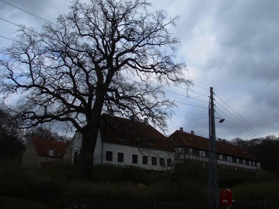 Skodsborg marathon 27-Apr-2010 Pictures - Tor Rnnow