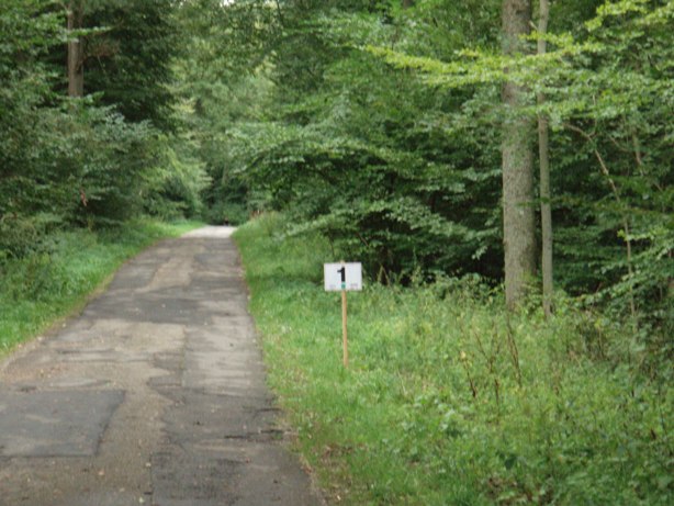 Skovlberen Marathon Pictures - Tor Rnnow