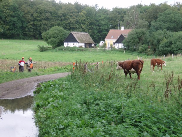 Skovlberen Marathon Pictures - Tor Rnnow