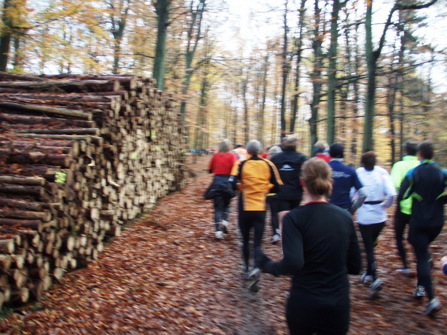 Skovmaren Marathon Pictures - Tor Rnnow