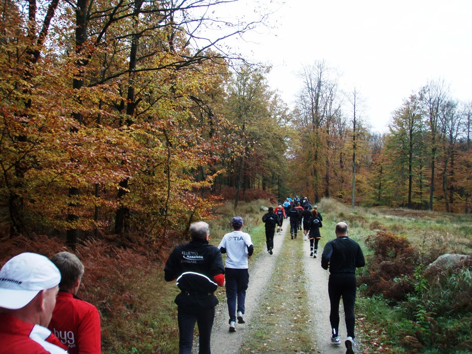 Skovmaren Marathon Pictures - Tor Rnnow