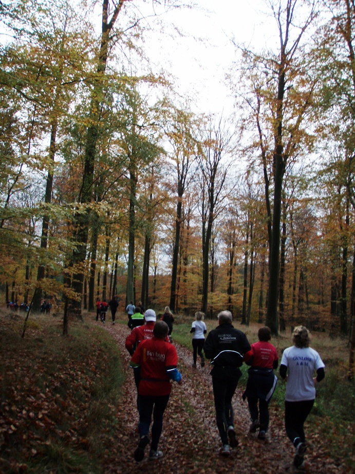 Skovmaren Marathon Pictures - Tor Rnnow