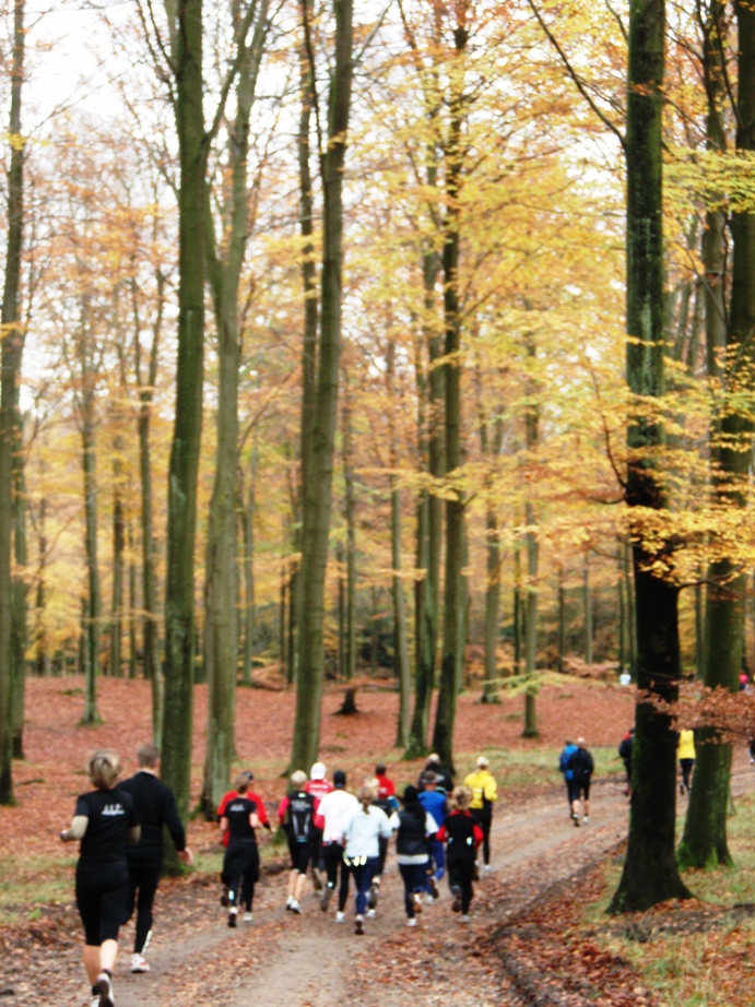 Skovmaren Marathon Pictures - Tor Rnnow