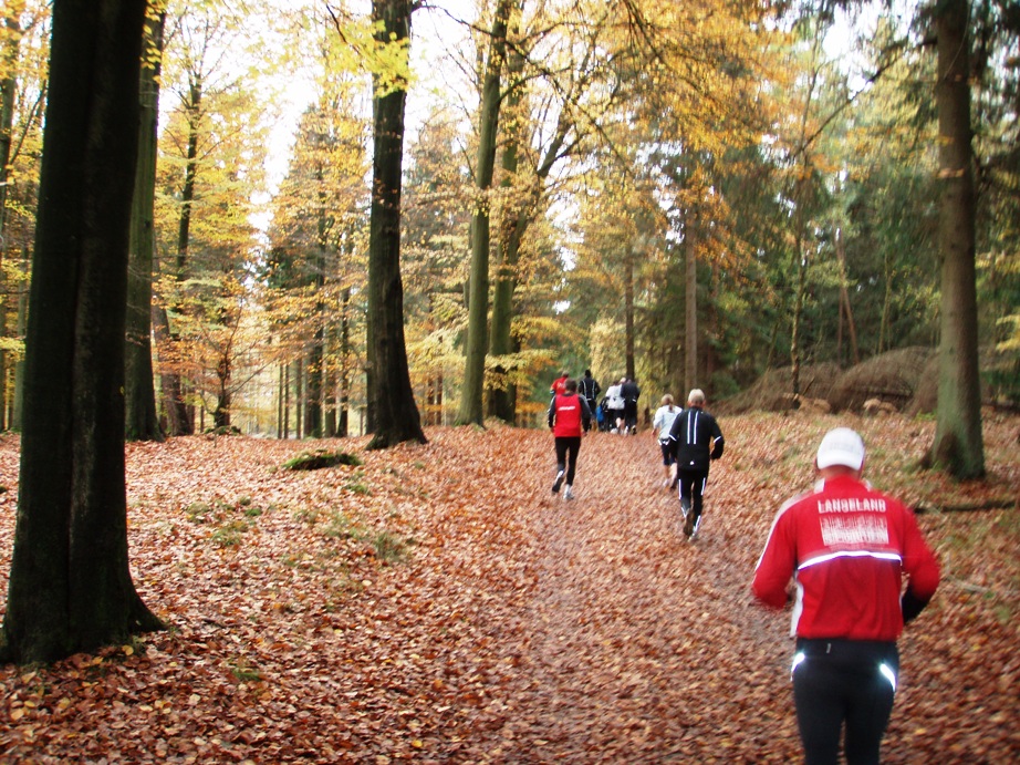 Skovmaren Marathon Pictures - Tor Rnnow