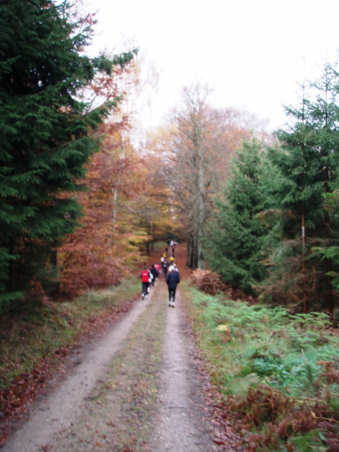 Skovmaren Marathon Pictures - Tor Rnnow