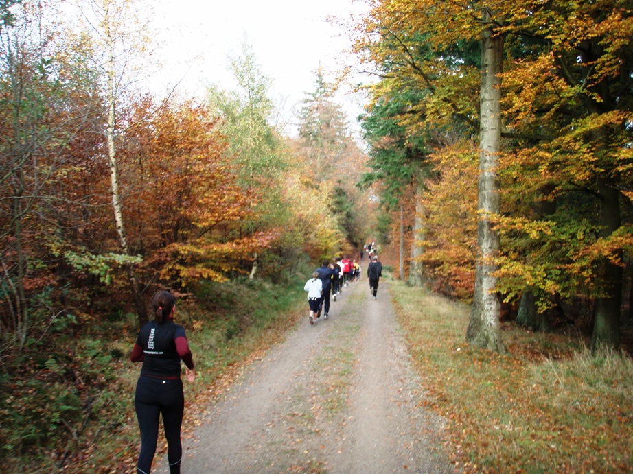 Skovmaren Marathon Pictures - Tor Rnnow