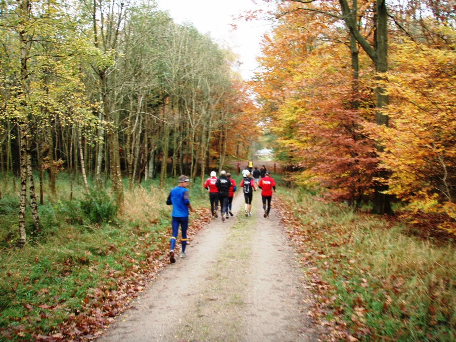 Skovmaren Marathon Pictures - Tor Rnnow