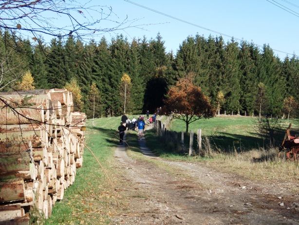 Skovmaren Marathon Pictures - Tor Rnnow