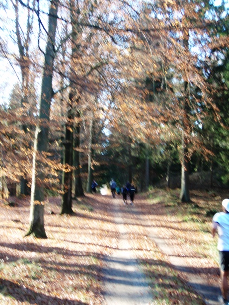 Skovmaren Marathon Pictures - Tor Rnnow