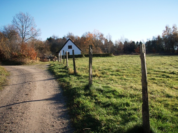 Skovmaren Marathon Pictures - Tor Rnnow