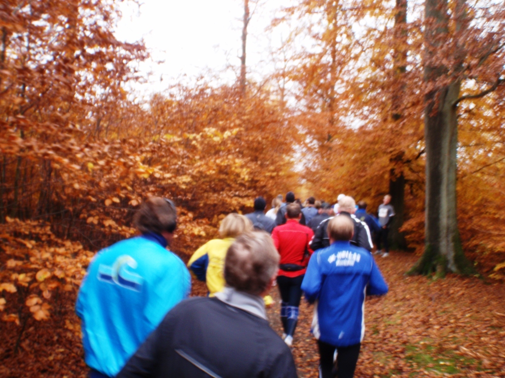 LBEREN Skovmarathon 2009 Pictures Billeder - Tor Rnnow