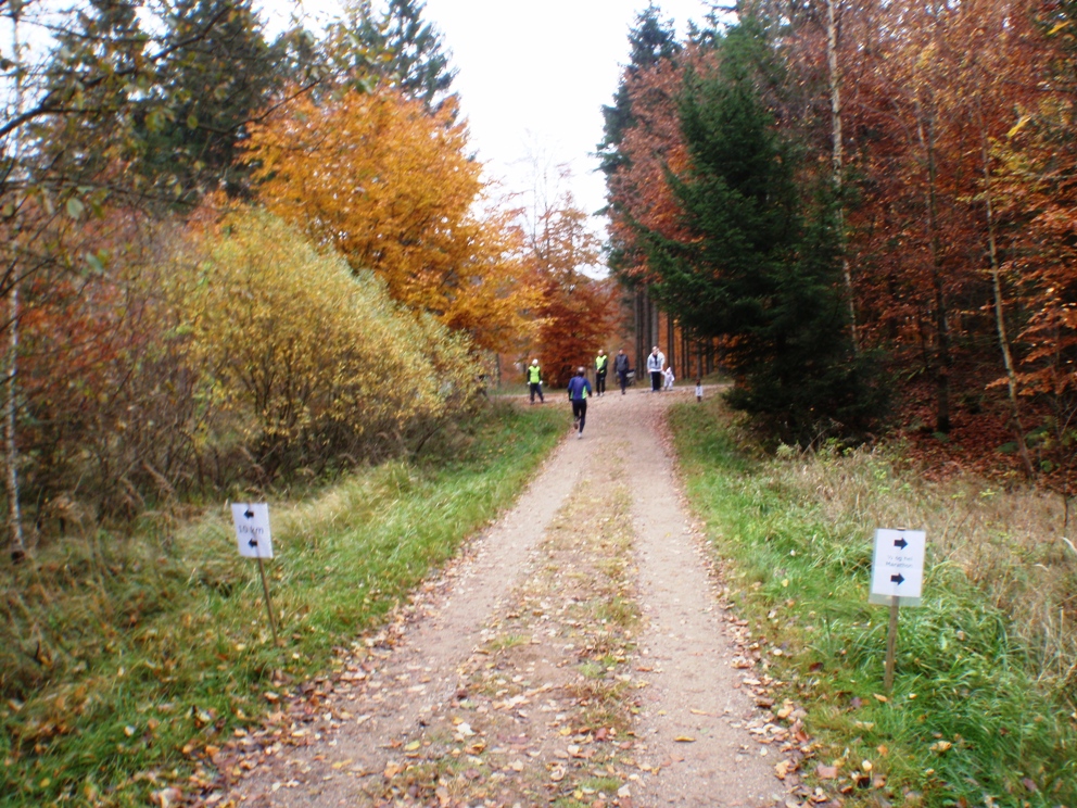 LBEREN Skovmarathon 2009 Pictures Billeder - Tor Rnnow