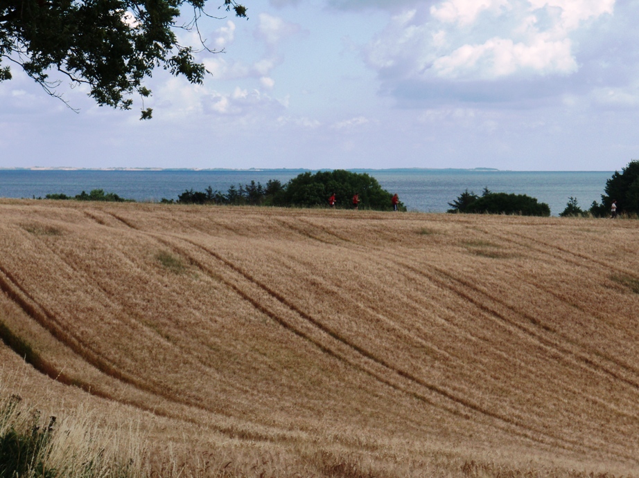 Kalundborg Summermarathon Marathon Pictures - Tor Rnnow