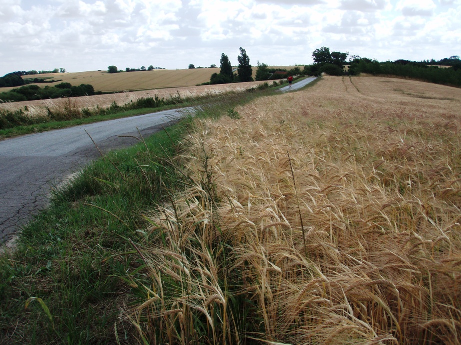 Kalundborg Summermarathon Marathon Pictures - Tor Rnnow