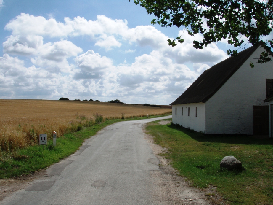 Kalundborg Summermarathon Marathon Pictures - Tor Rnnow