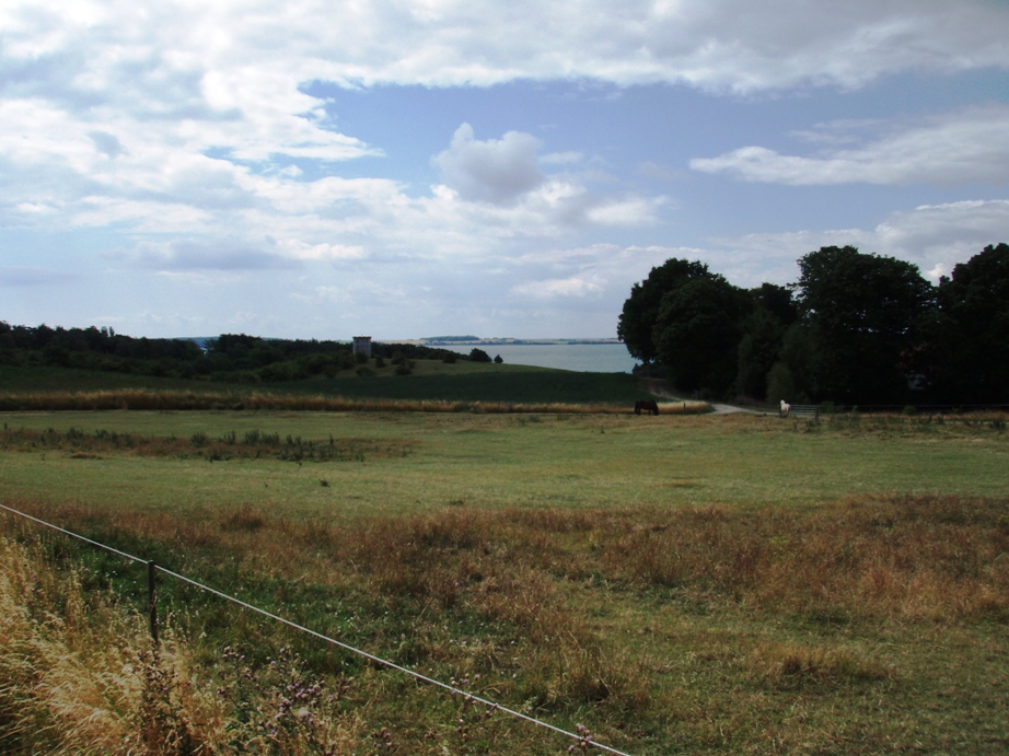 Kalundborg Summermarathon Marathon Pictures - Tor Rnnow