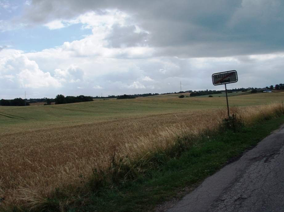 Kalundborg Summermarathon Marathon Pictures - Tor Rnnow