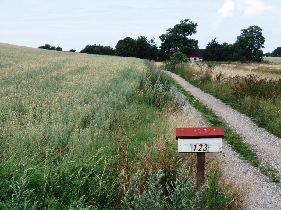 Kalundborg Summermarathon Marathon Pictures - Tor Rnnow