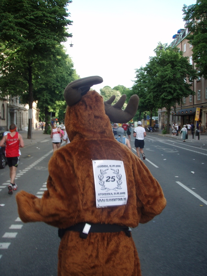 Stockholm Marathon Pictures - Tor Rnnow