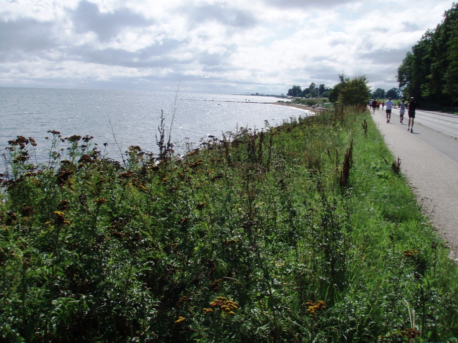 Strandvejsmarathon Marathon Pictures - Tor Rnnow