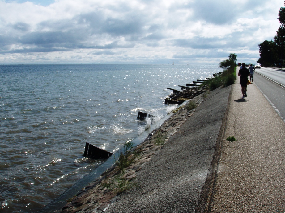 Strandvejsmarathon Marathon Pictures - Tor Rnnow