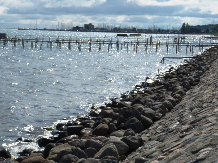 Strandvejsmarathon Marathon Pictures - Tor Rnnow