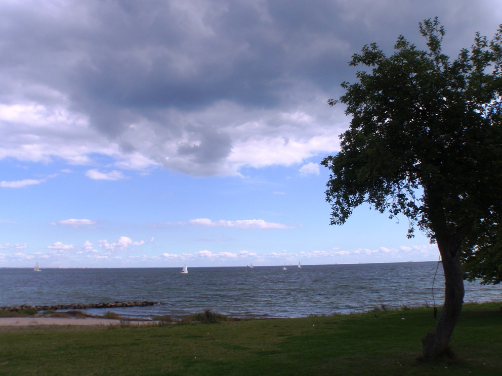 Strandvejsmarathon Marathon Pictures - Tor Rnnow