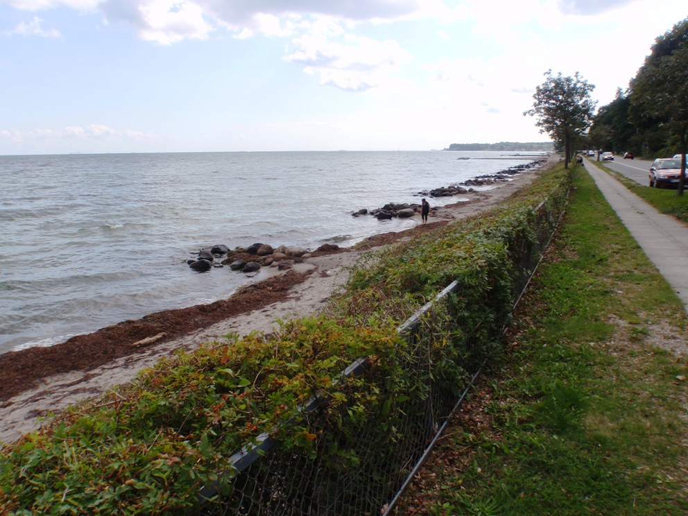 Strandvejsmarathon Marathon Pictures - Tor Rnnow