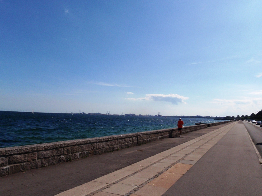 Strandvejsmarathon Marathon Pictures - Tor Rnnow