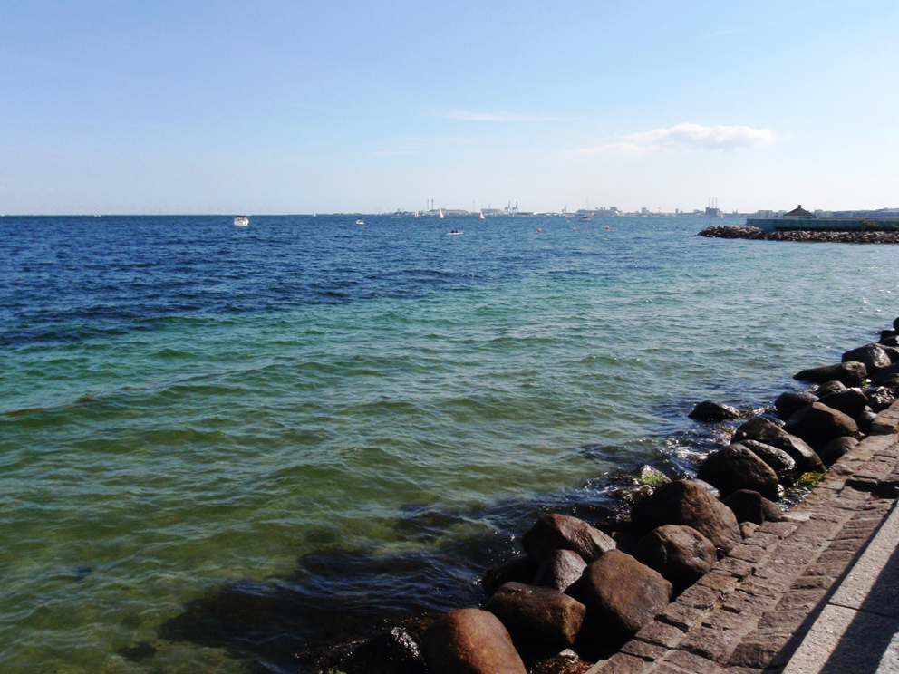 Strandvejsmarathon Marathon Pictures - Tor Rnnow