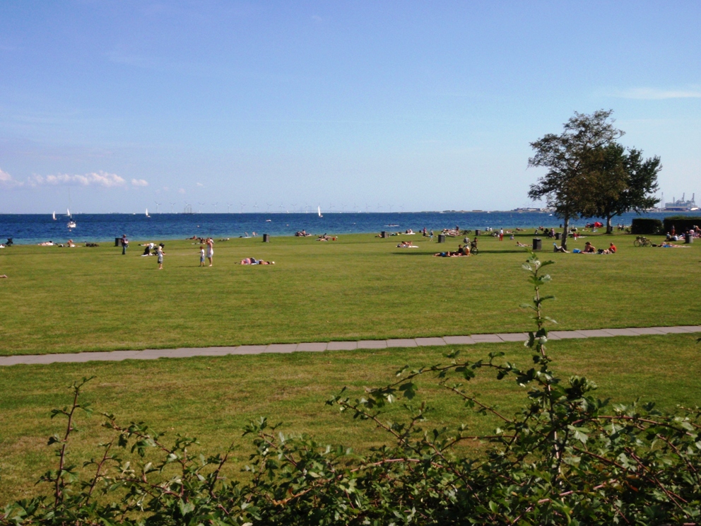 Strandvejsmarathon Marathon Pictures - Tor Rnnow