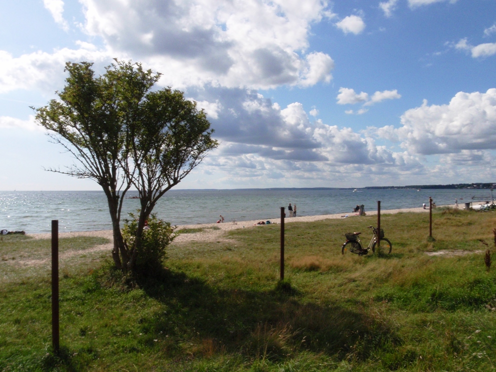 Strandvejsmarathon Marathon Pictures - Tor Rnnow