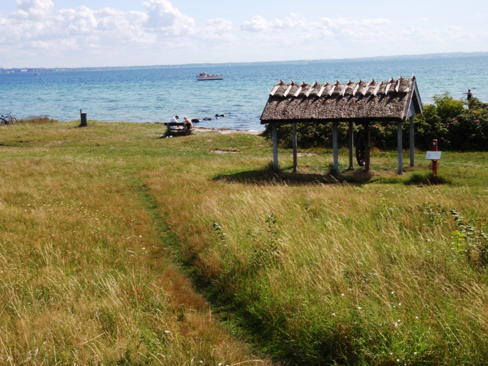 Strandvejsmarathon Marathon Pictures - Tor Rnnow