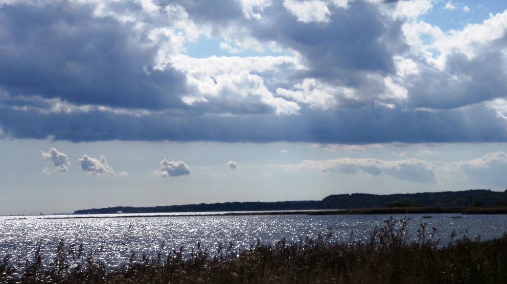 Strandvejsmarathon Marathon Pictures - Tor Rnnow