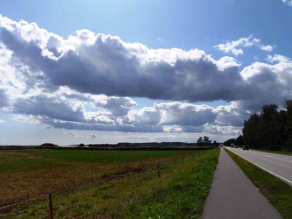 Strandvejsmarathon Marathon Pictures - Tor Rnnow